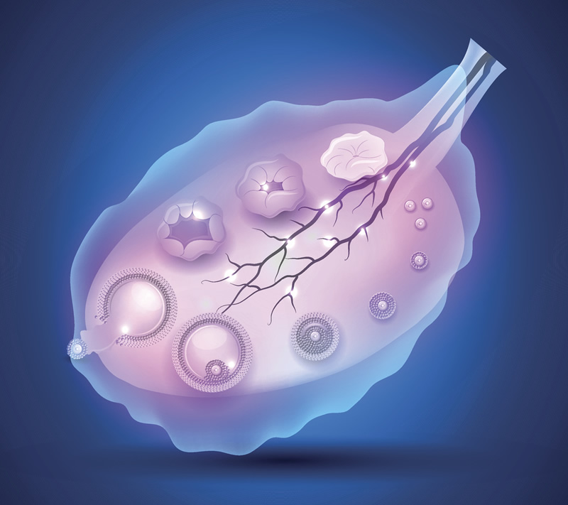 周口试管助孕全流程时间表,帮你规划好每一步